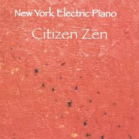 NEW YORK ELECTRIC PIANO - PAT DAUGHERTY - AARON COMESS - TIME GIVENS - CITIZEN ZEN - MIDLANTIC - 312 - CD