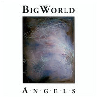 BIG WORLD Trio [RICK HELZER /  Bill PLAKE | Jeanette WRATE] - ANGELS - NINEWINDS - 145 - CD