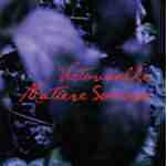 Various Artists : FRANCISCO LOPEZ - LOUIS DUFORT - CHANTAL DUMAS - HELENE PREVOST - VICTORIAVILLE MATIERE SONORE - VICTO - 113 - CD