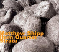 MATT SHIPP - STRATA - HATOLOGY - 522