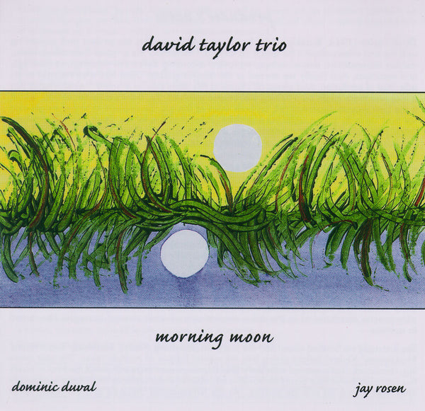 David Taylor Trio - Morning Moon - CIMP 307