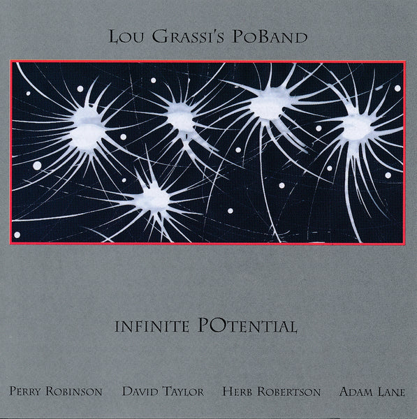 Lou Grassi's PoBand - Infinite Potential - CIMP 344
