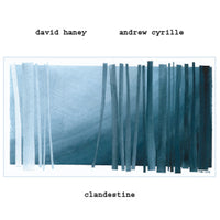 David Haney - Andrew Cyrille - Clandestine - CIMP 367