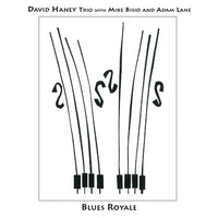 David Haney Trio with Mike Bisio and Adam Lane - Blues Royale - CIMP 354