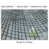 David Schnitter - Dominic Duval - Newman Taylor Baker - The Spirit of Things - CIMP 363