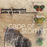 DENNIS GONZALEZ - CAPE OF STORMS: YELLS AT EELS - AYLER - 117 - CD