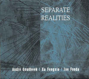 ANDRE GOUDBEEK - SEPARATE REALITIES - DEWERF - 43 CD